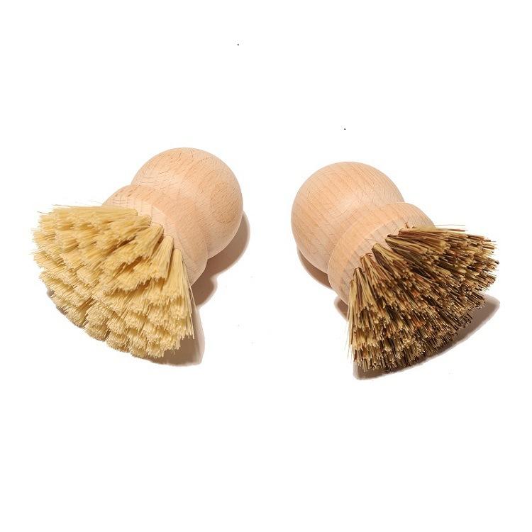Two round beech wood dish brushes with natural bristles—one darker sisal blend and one light palm fiber—shown on a white background.