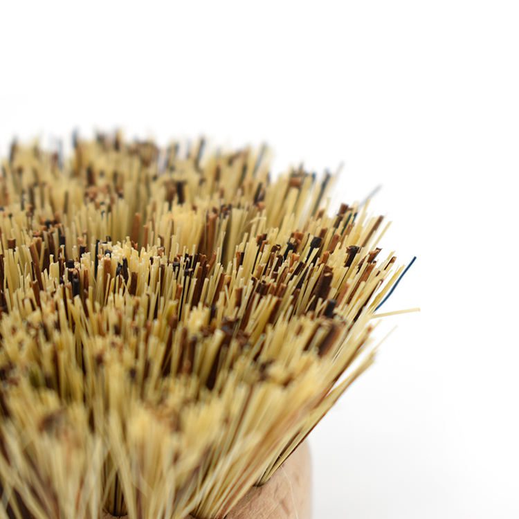 Round bamboo dish brush replacement head with sisal and palm fiber bristles on a white background
