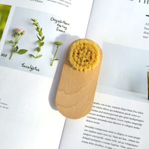 Nail cleaning brush with bamboo and beech wood handle, featuring sisal and goat hair bristles for effective dust removal.