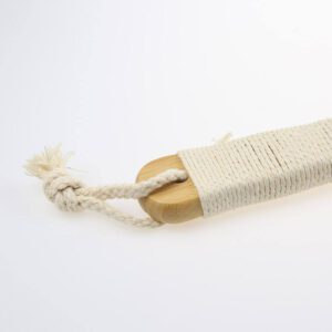 boar bristle dry brush 