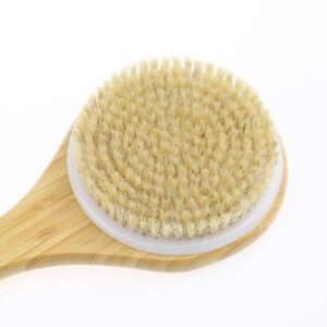 boar bristle dry brush 