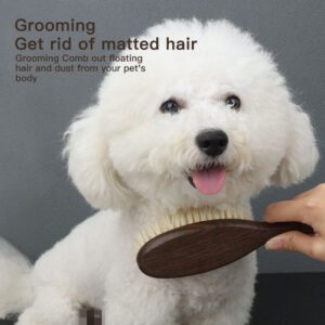 Soft bristle dog massage brush with wooden handle, suitable for cat and dog bath grooming and gentle coat care