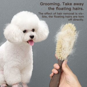 Soft bristle dog massage brush with wooden handle, suitable for cat and dog bath grooming and gentle coat care