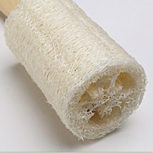 Loofah bath brush with long wooden handle and natural exfoliating loofah head for back cleansing.