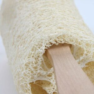 Loofah bath brush with long wooden handle and natural exfoliating loofah head for back cleansing.
