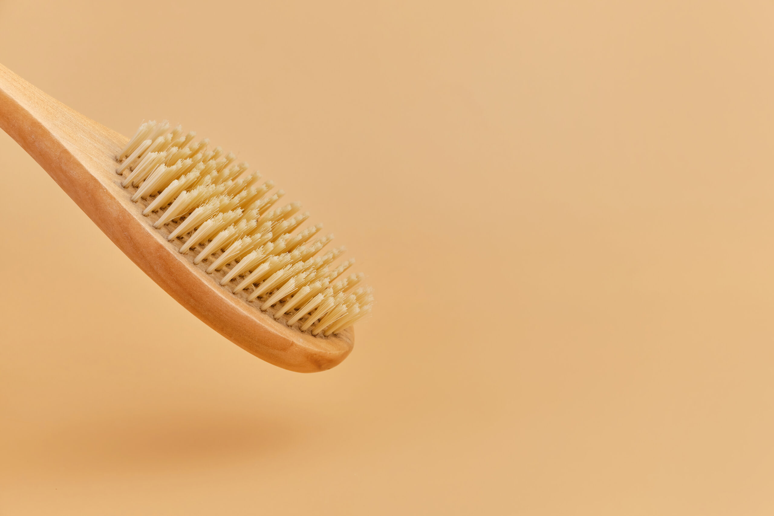 natural bristle dry brush