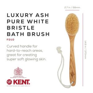 Long handle ashwood body brush with bristles for exfoliating and cleaning the back during shower