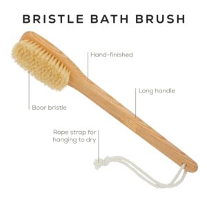 Long curved handle body brush with sisal bristles for exfoliating, dry brushing, and back cleaning