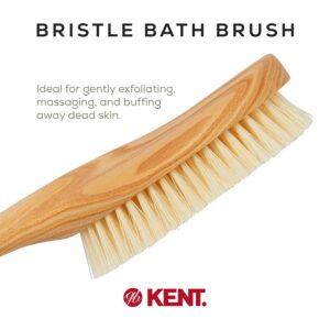 Long handle ashwood body brush with bristles for exfoliating and cleaning the back during shower