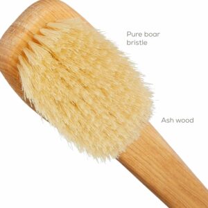 Long curved handle body brush with sisal bristles for exfoliating, dry brushing, and back cleaning