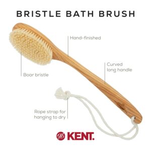 Long handle ashwood body brush with bristles for exfoliating and cleaning the back during shower