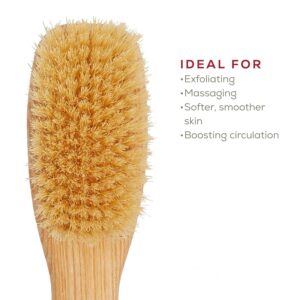 Long curved handle body brush with sisal bristles for exfoliating, dry brushing, and back cleaning