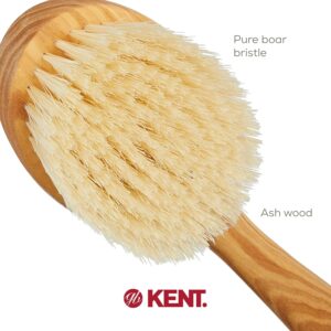 Long handle ashwood body brush with bristles for exfoliating and cleaning the back during shower