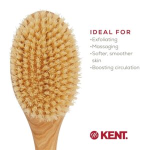 Long handle ashwood body brush with bristles for exfoliating and cleaning the back during shower