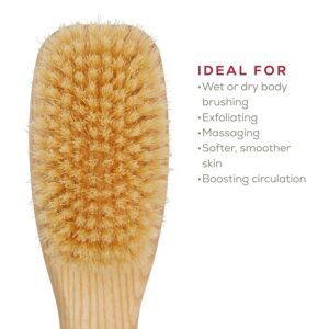 Ashwood body brush with pig bristles for exfoliating and cleansing skin during shower