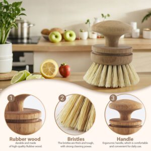 eco-friendly beech wood dish brush with replaceable sisal bristle head for kitchen cleaning