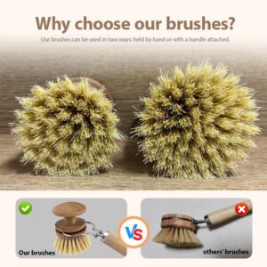 eco-friendly beech wood dish brush with replaceable sisal bristle head for kitchen cleaning