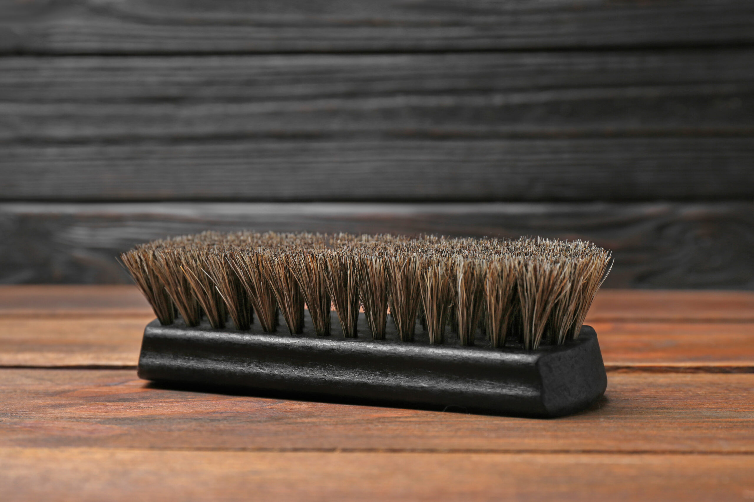 Horsehair Shoe Brush