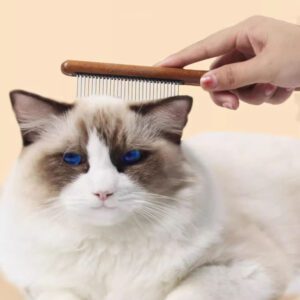 solid wood pet grooming combs with stainless steel teeth for dogs and cats