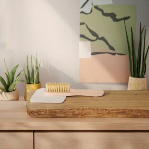 small beech wood cleaning brush with natural tampico bristles for laundry and stain removal