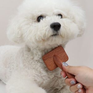 wooden handle slicker brush with stainless steel pins for pet grooming