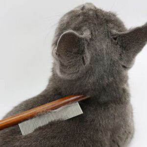 solid wood pet grooming combs with stainless steel teeth for dogs and cats