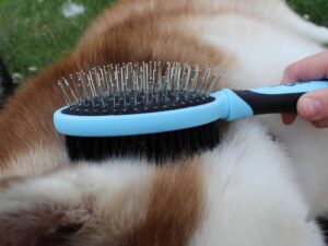 double sided pet grooming brush with pin and bristle sides for dogs and cats