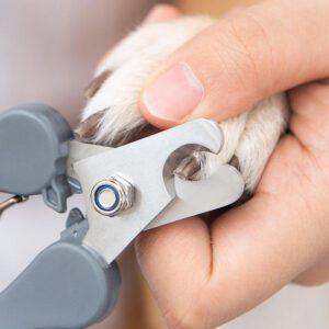 Professional pet nail clippers with non-slip ergonomic handle and stainless steel blade for trimming dog and cat nails safely.