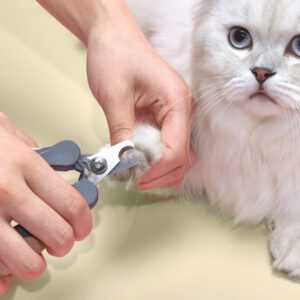 Professional pet nail clippers with non-slip ergonomic handle and stainless steel blade for trimming dog and cat nails safely.