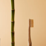 Wholesale Toothbrush