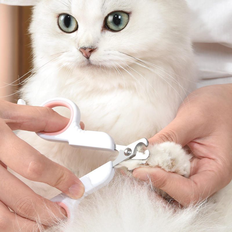 Small pet nail clipper with ergonomic handle for cats, puppies, and small dogs, designed for safe and precise nail trimming.