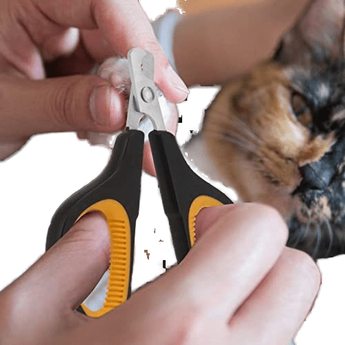 Black and yellow stainless steel pet nail clipper with anti-slip handle for safe grooming of cats and dogs.
