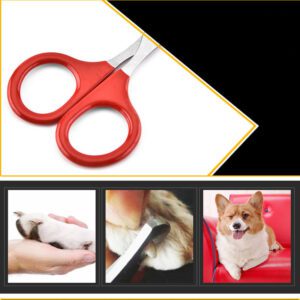 Colorful stainless steel pet nail clippers with non-slip handles for safe cat nail trimming and pet grooming.