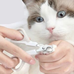 Colorful stainless steel pet nail clippers with non-slip handles for safe cat nail trimming and pet grooming.