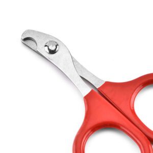 Colorful stainless steel pet nail clippers with non-slip handles for safe cat nail trimming and pet grooming.