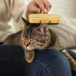 Wholesale Pet Supplies